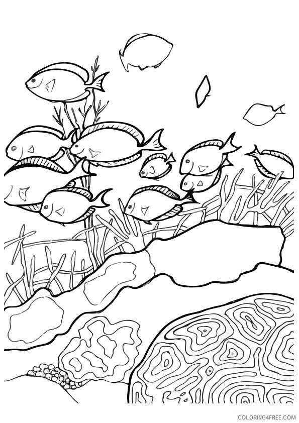 under the sea coloring pages fish and coral reefs Coloring4free
