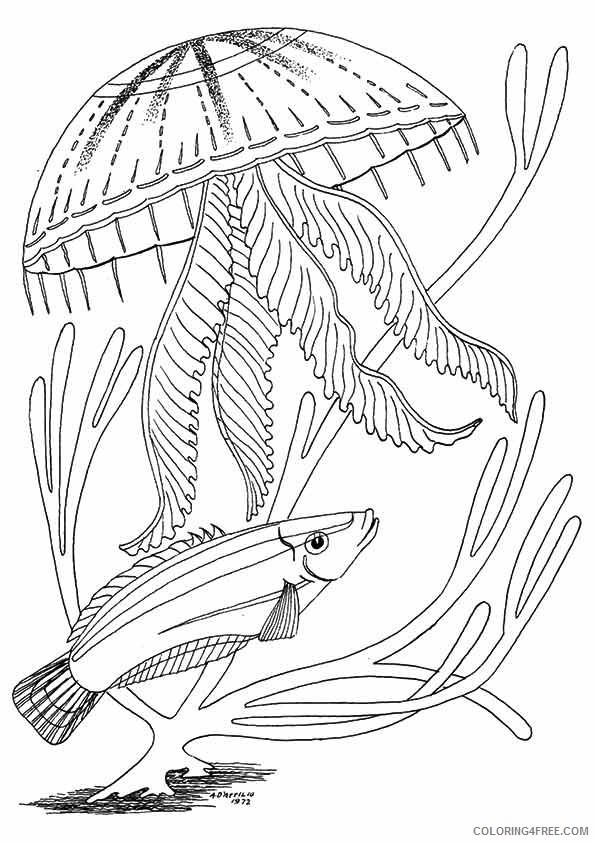 under the sea coloring pages fish and jellyfish Coloring4free