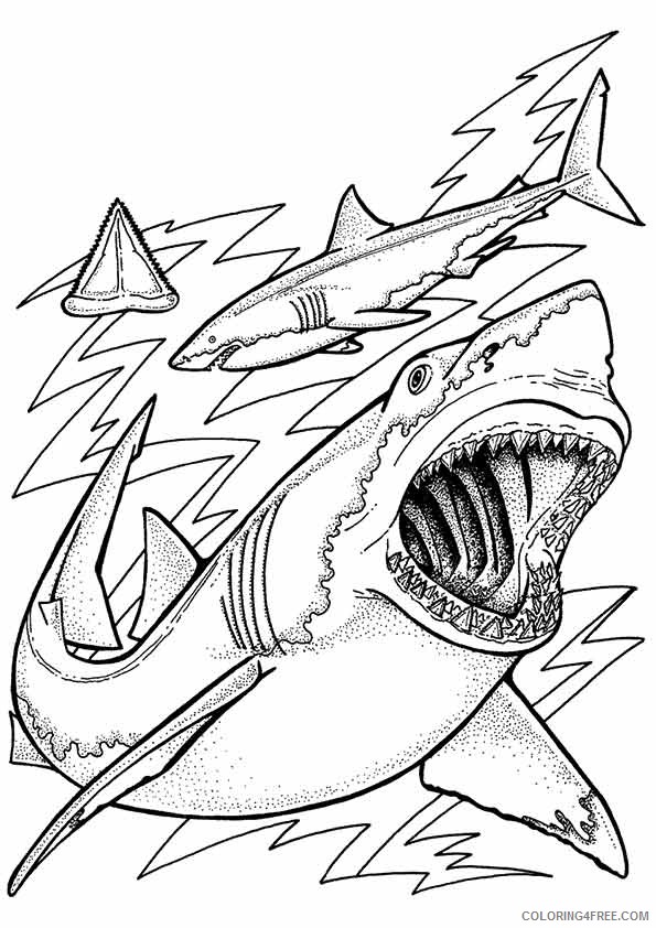 under the sea coloring pages great white shark Coloring4free