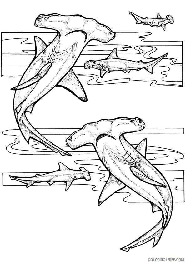 under the sea coloring pages hammerhead shark Coloring4free