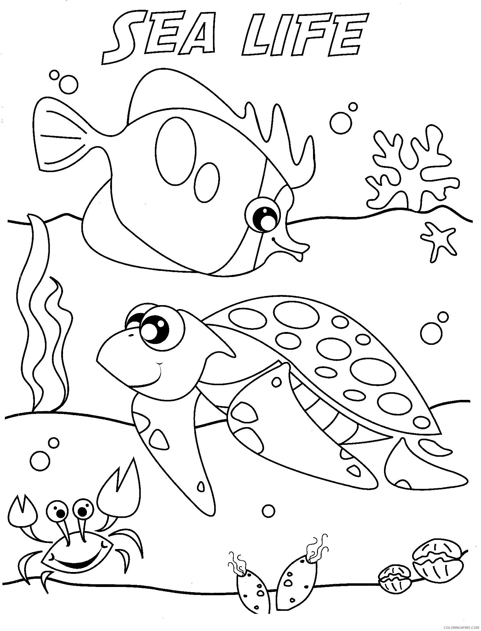 under the sea coloring pages sea life Coloring4free