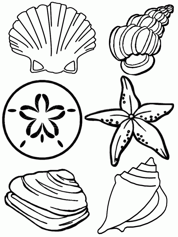 under the sea coloring pages seashells Coloring4free