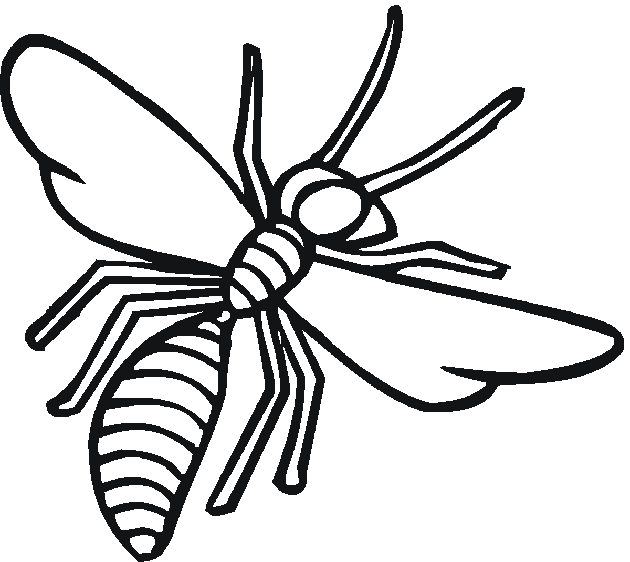 wasp insect coloring pages Coloring4free