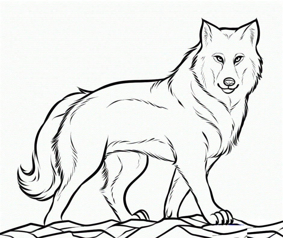 wolf coloring pages walking Coloring4free