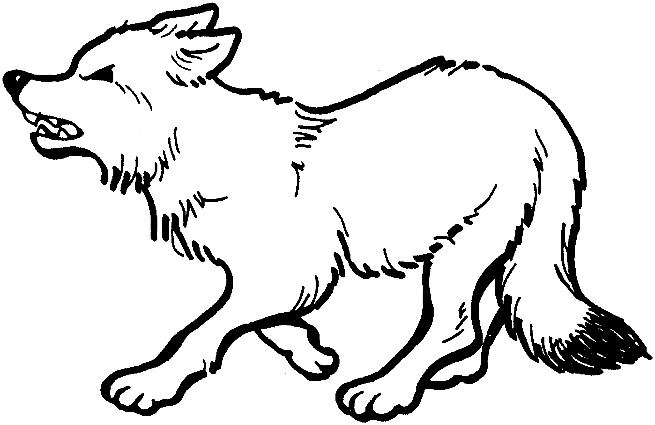 wolf pup coloring pages Coloring4free