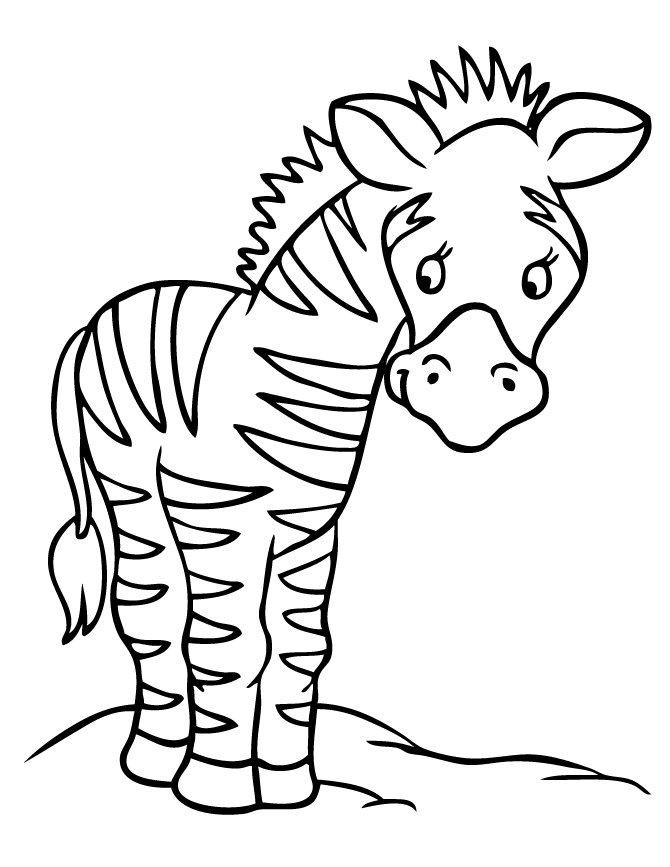zebra coloring pages for kids Coloring4free