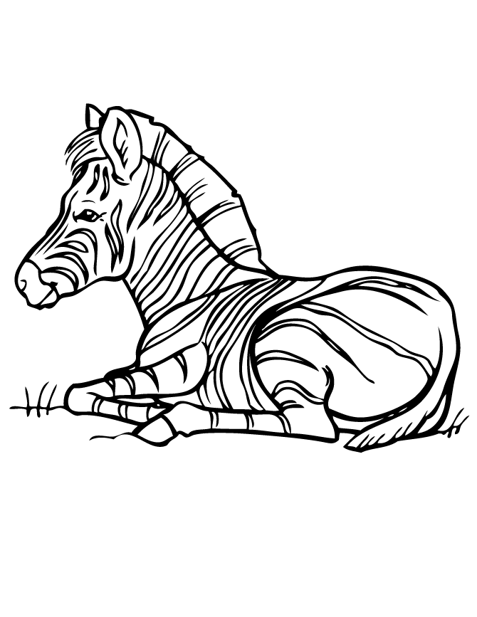 zebra coloring pages lying down Coloring4free