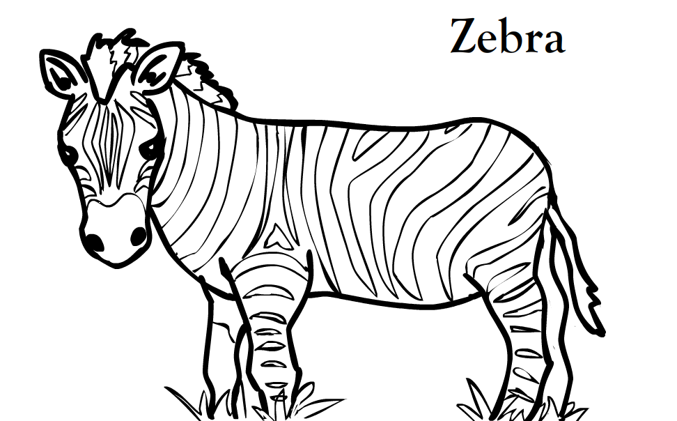 zebra coloring pages printable Coloring4free