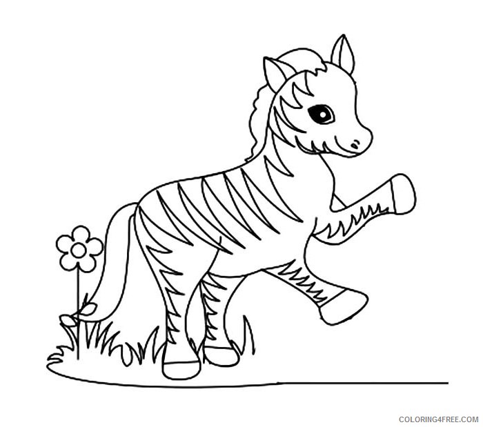zebra coloring pages with grass and flower Coloring4free