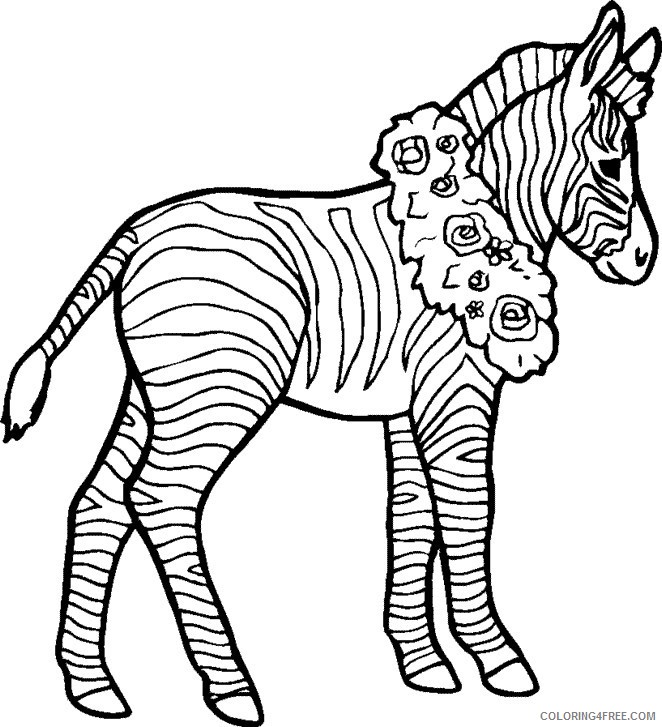 zebra coloring pages with wreaths Coloring4free