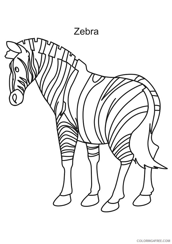 zebra coloring pages z is for zebra Coloring4free