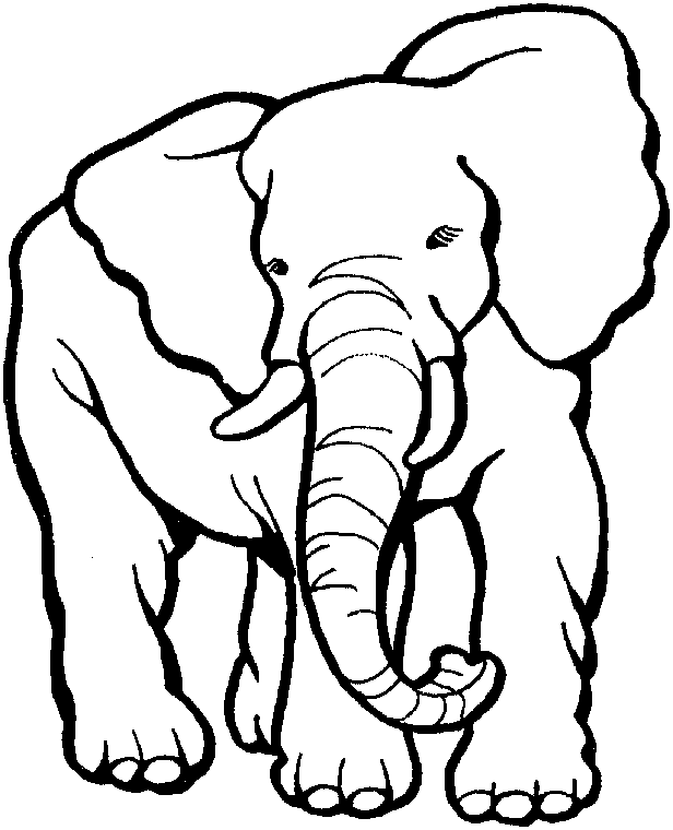 zoo animal coloring pages elephant Coloring4free