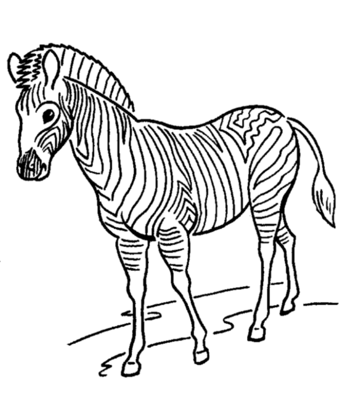 zoo animal coloring pages zebra Coloring4free