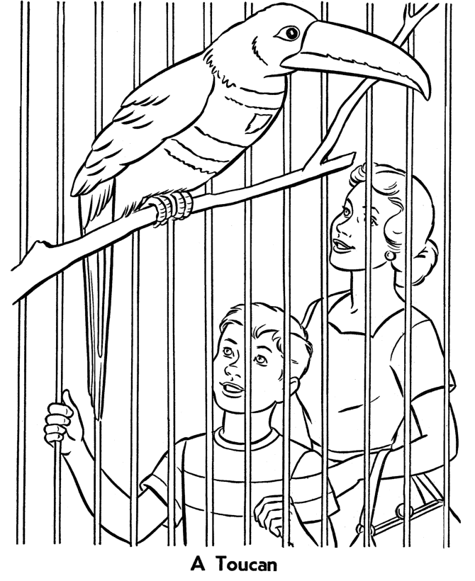 zoo coloring pages bird in cage Coloring4free